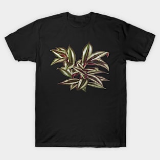 Tradescantia zebrina  - Botanical Illustration T-Shirt